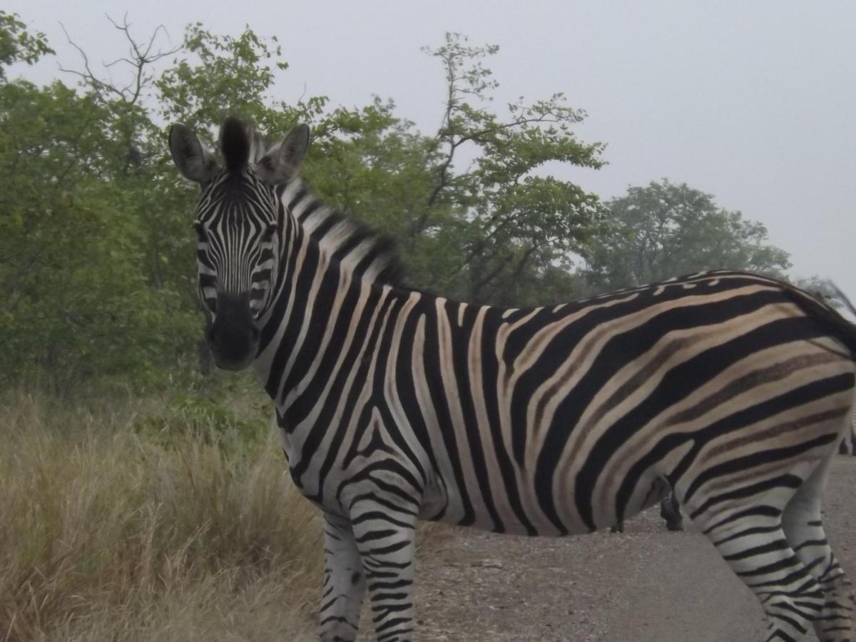 Mountain View Safari Lodge Hoedspruit Zewnętrze zdjęcie